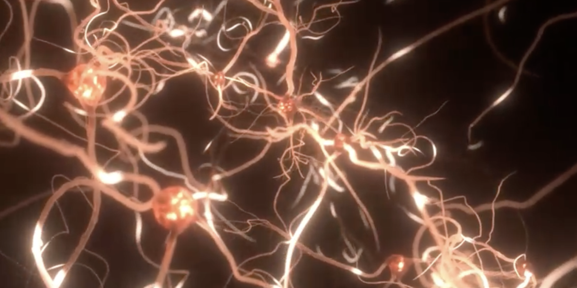 Cellular Health 101: The Foundation of Energy, Performance, and Longevity