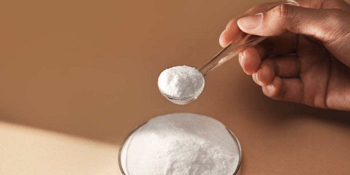 creatine powder