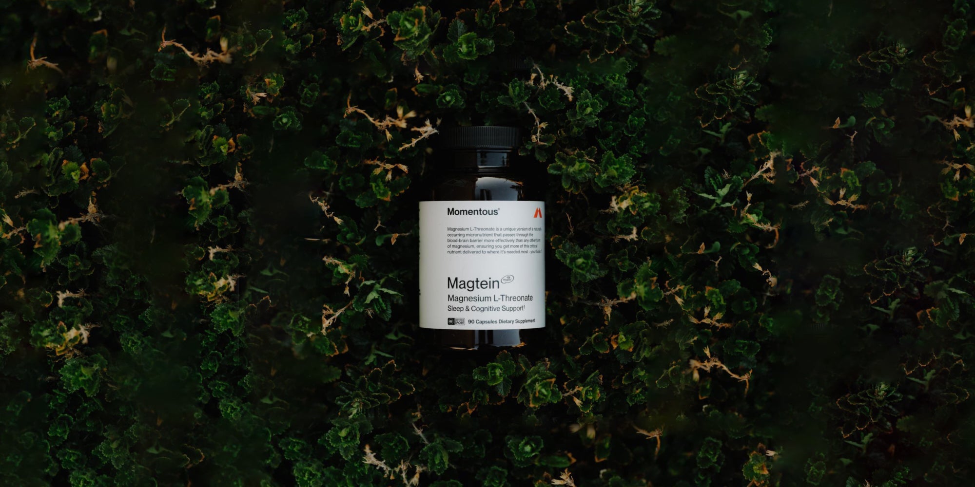 Magnesium Threonate vs Glycinate: Key Differences and Benefits