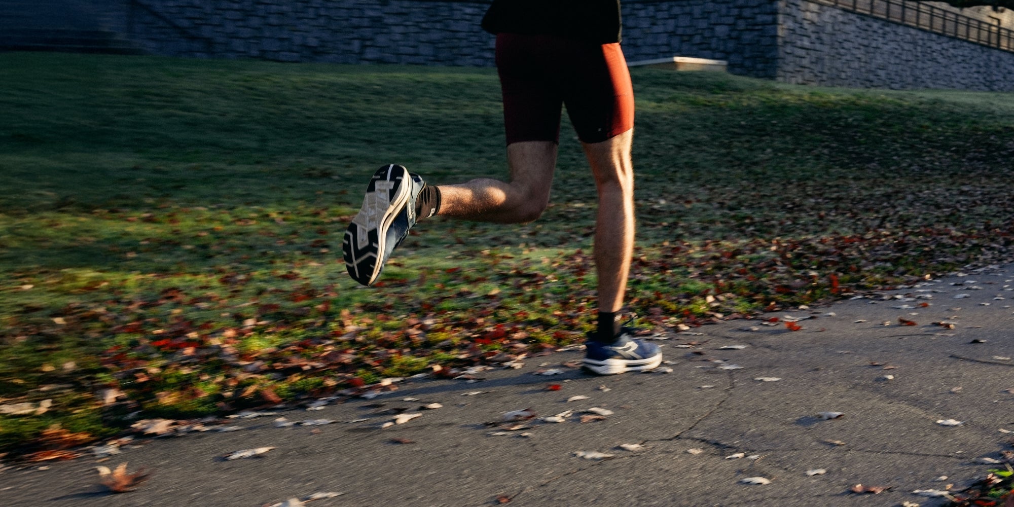 NMN Supplements: Benefits, Research, & FDA Status Explained