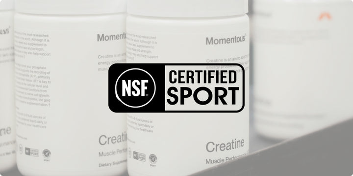 What Is NSF Certification—and Why Does It Matter?