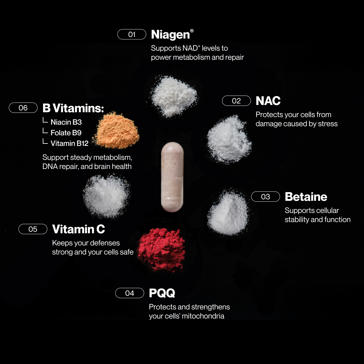 Diagram of Momentous Longevity capsule surrounded by its key ingredients, including Niagen for metabolism and repair, NAC for cell protection, Betaine for cellular stability, PQQ for mitochondrial support, Vitamin C for immune defense, and B vitamins (B3, B9, B12) for metabolism, DNA repair, and brain health.
