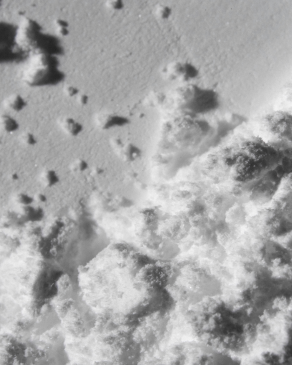 Close-up of pharmaceutical grade creatine monohydrate powder crystals representing Momentous Creatine's pharmaceutical advantage, made in a hand-selected pharmaceutical facility with unprecedented control from start to finish