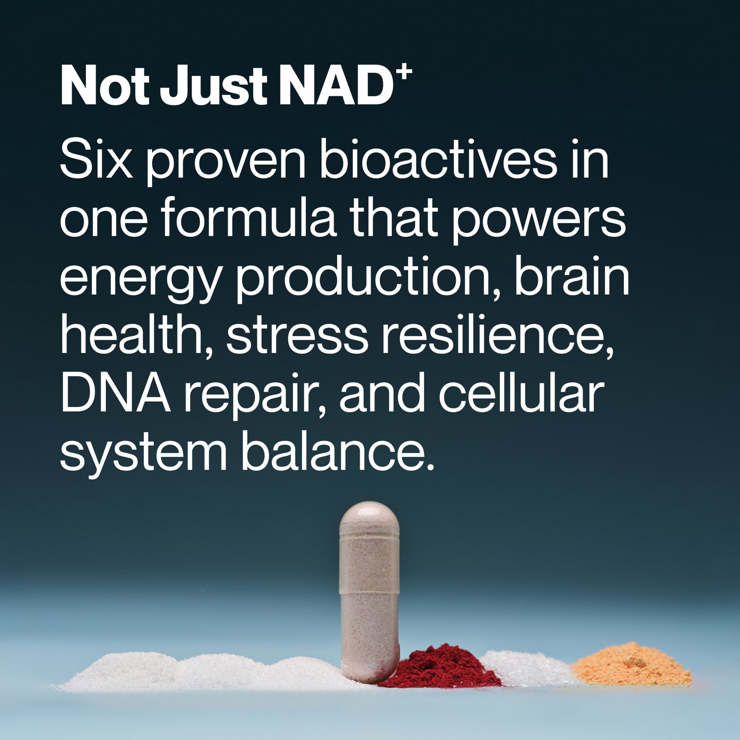 Momentous Longevity capsule standing upright on a surface with white, red, and orange powders, with text highlighting six proven bioactives for energy, brain health, and DNA repair.