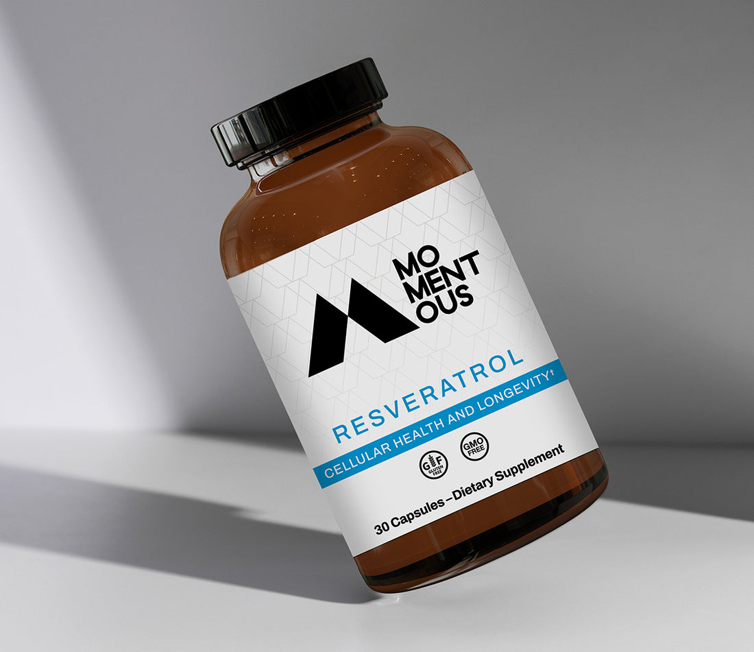 Resveratrol and the French Paradox: Is Our Newest Product the Key to your Longevity?