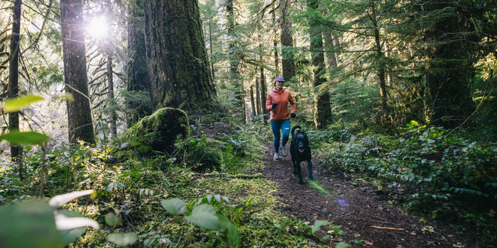 A female trail runner runs in a forest with her dog