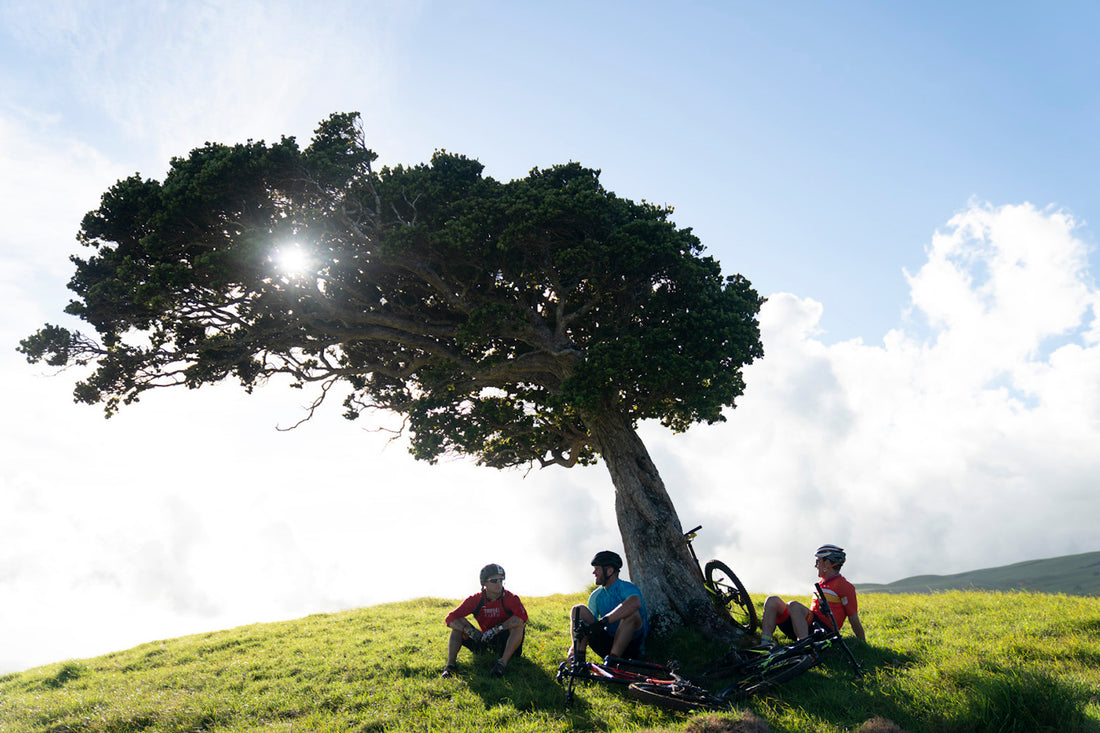 Four Ways To Optimize Your Morning Routine