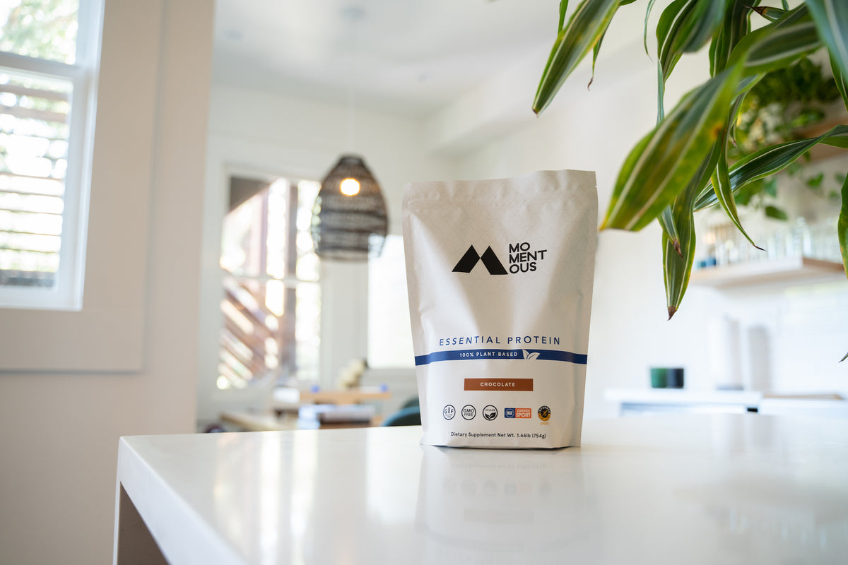 How and When You Should Use Plant-Based Protein Powder