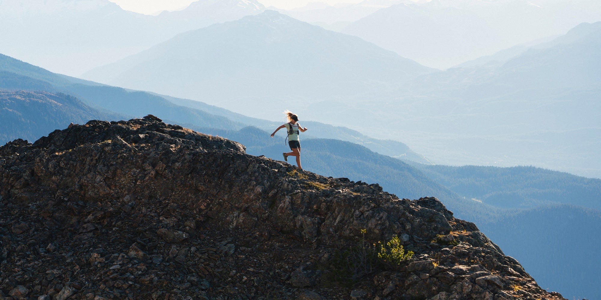 Berberine vs Inositol: The Key Differences & Benefits