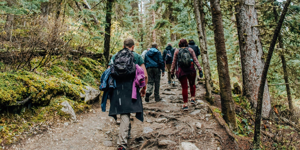 A group of men and women walk up a trail on a hike