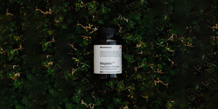 A bottle of Momentous Magtein