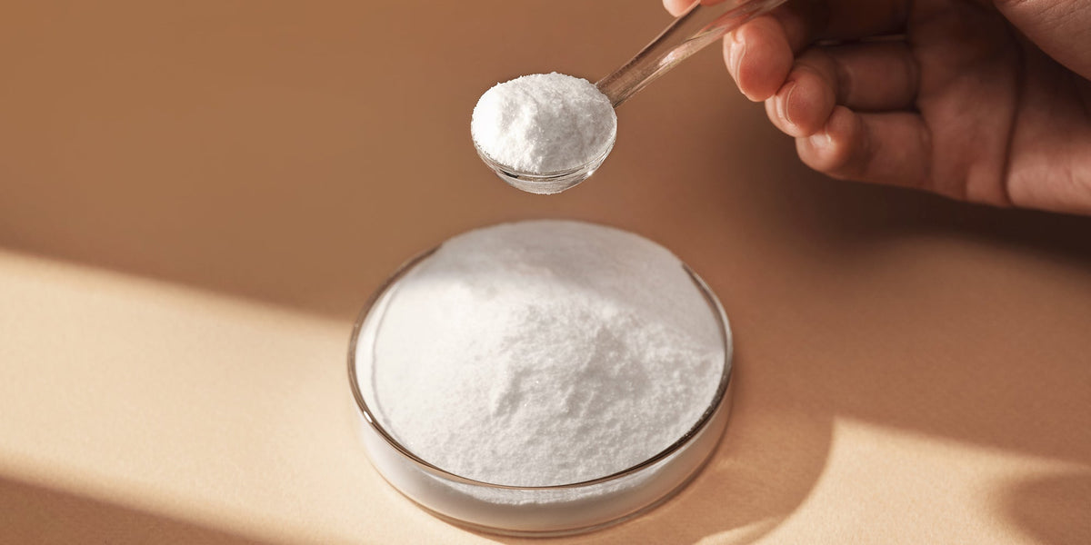 creatine powder supplier creatine powder supplier