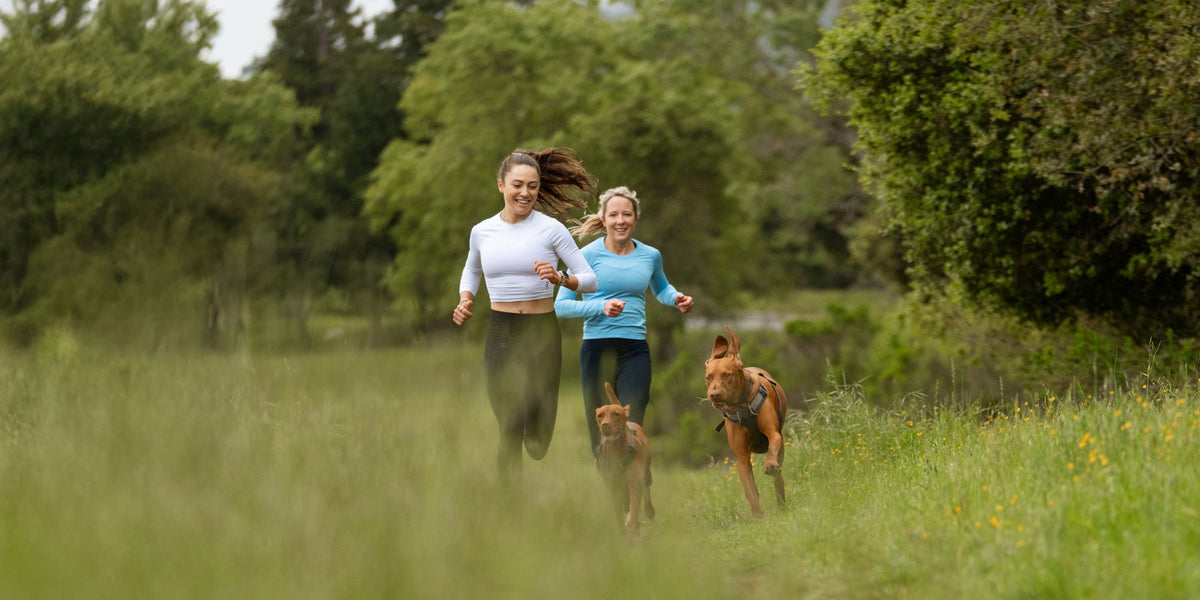 two women run in a field with their two dogs