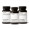 Adaptogen Stack which includes Ashwagandha, Rhodiola Rosea, and L-Theanine