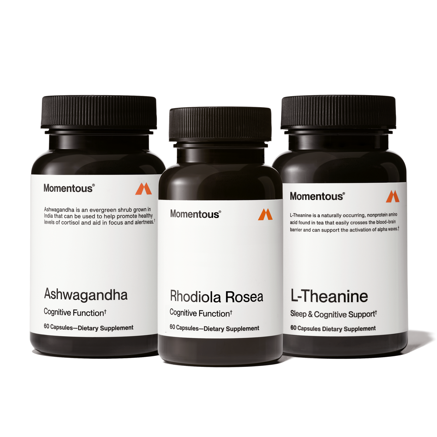 can l carnitine help lose weight how to take l-carnitine for weight loss Carnitine can l carnitine help lose weight how to take l-carnitine for weight loss Carnitine