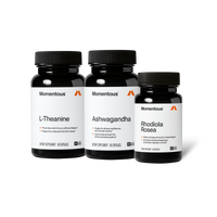Momentous L-Theanine, 60 capsules, promotes calm focus without fatigue and supports a relaxed mind for sleep, beside Ashwagandha, 60 capsules, supports stress resilience and mental clarity with a liposomal extract for enhanced absorption, and Rhodiola Rosea, 60 capsules, helps manage stress and combat fatigue, a clinically studied adaptogen that helps regulate cortisol, all three NSF Certified Sport. (403 chars)