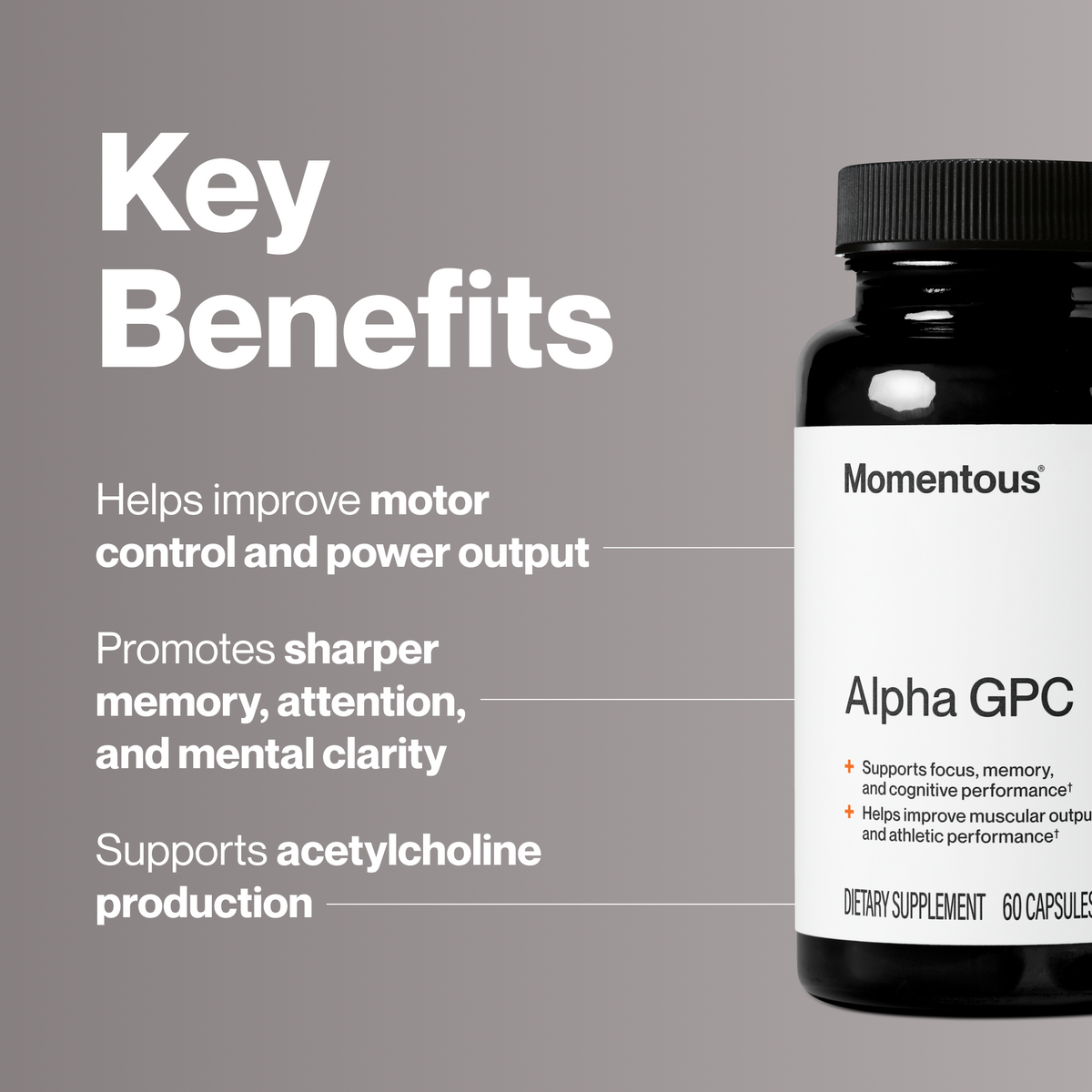Black bottle of Momentous Alpha GPC dietary supplement with white label showing key benefits and 60 capsules.