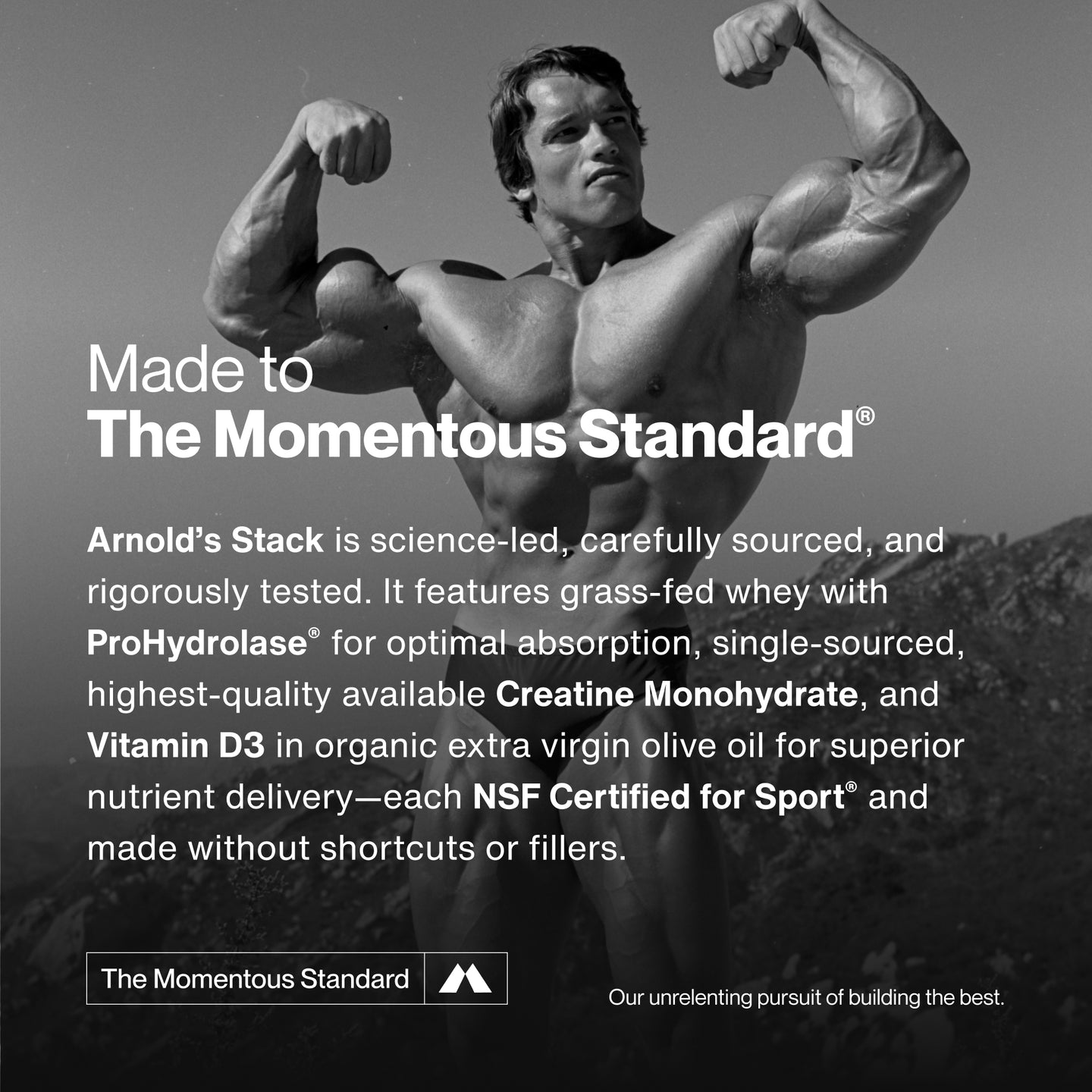 Black-and-white photo of Arnold Schwarzenegger flexing outdoors, overlaid with text describing Arnold’s Stack and its ingredients—whey protein, ProHydrolase, creatine monohydrate, and vitamin D3—as NSF Certified for Sport.