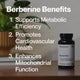 Berberine Benefits: Momentous Berberine bottle, 60 capsules, on a wood table beside a plant, with benefits listed: supports metabolic efficiency, promotes cardiovascular health, enhances mitochondrial function. (218 chars)