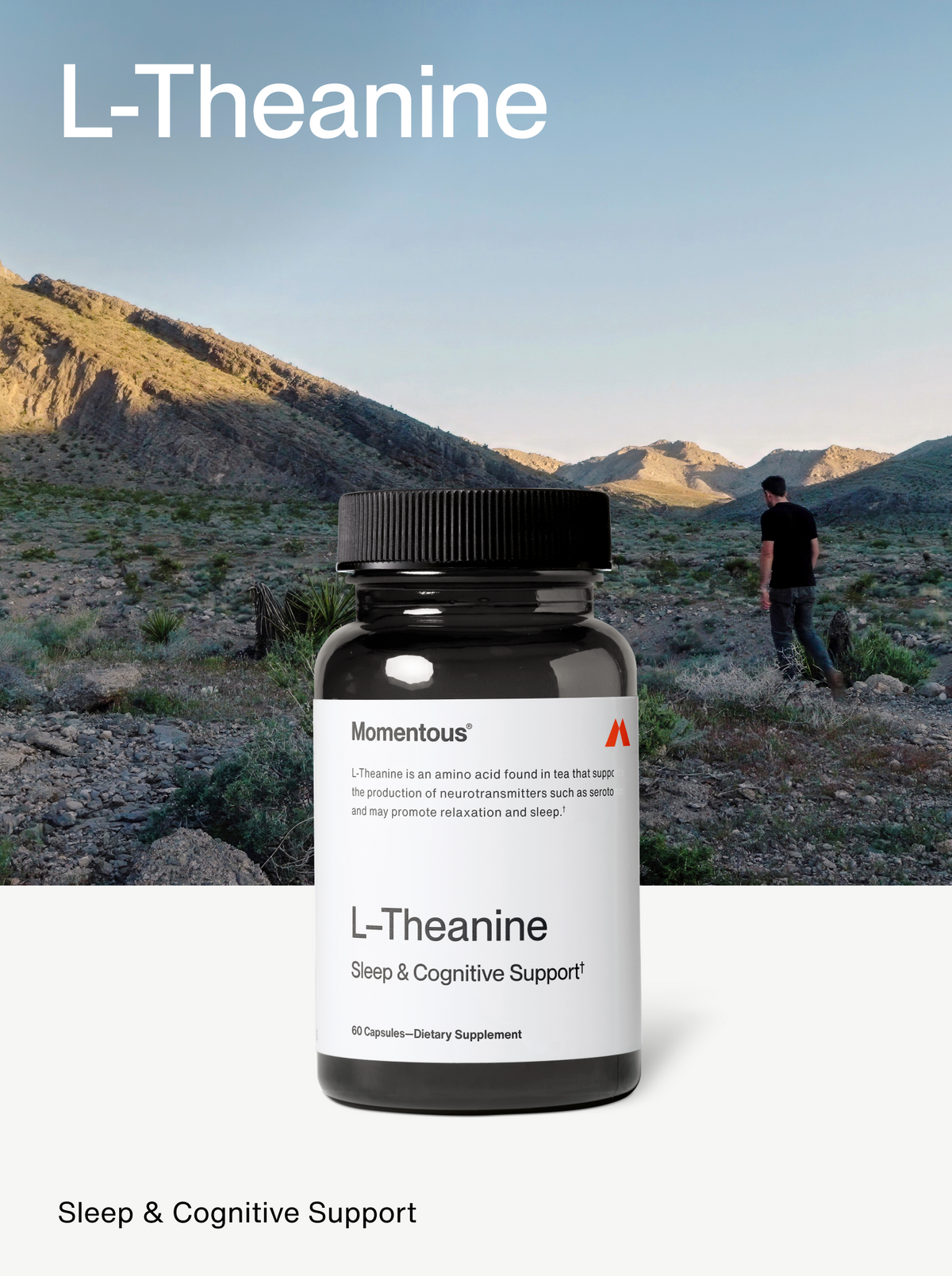 L-Theanine