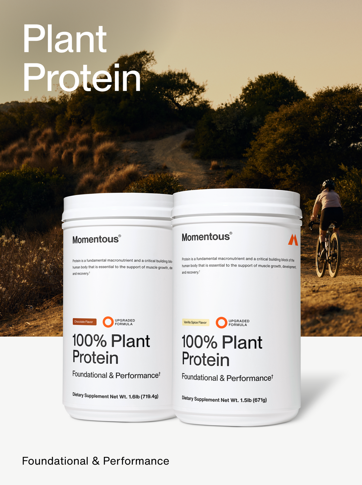 100% Plant Protein Powder