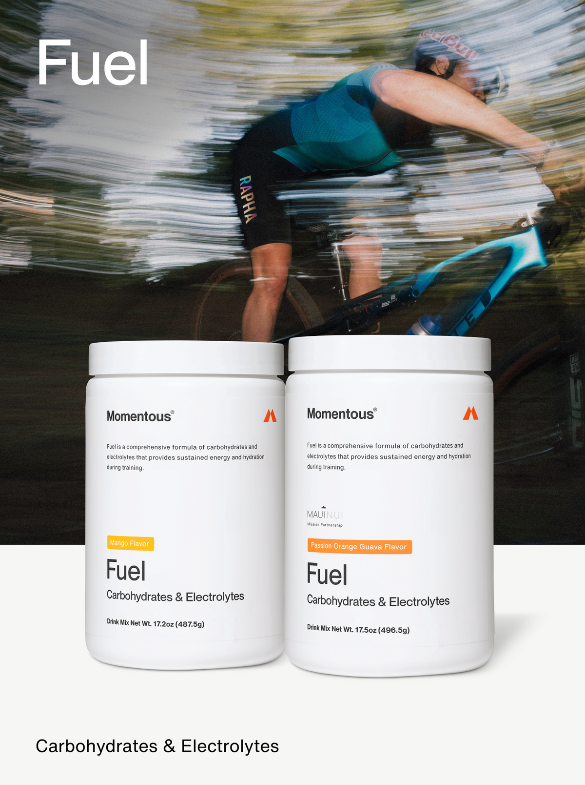 Fuel