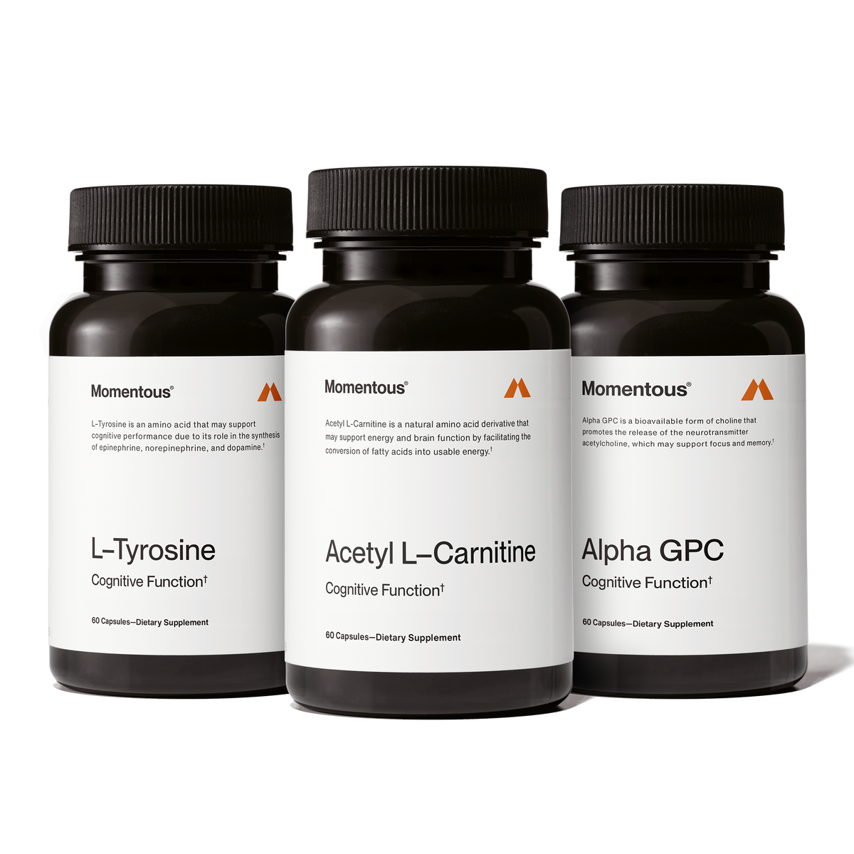 Cognitive Supplements - Nootropics to Fuel Your Brain