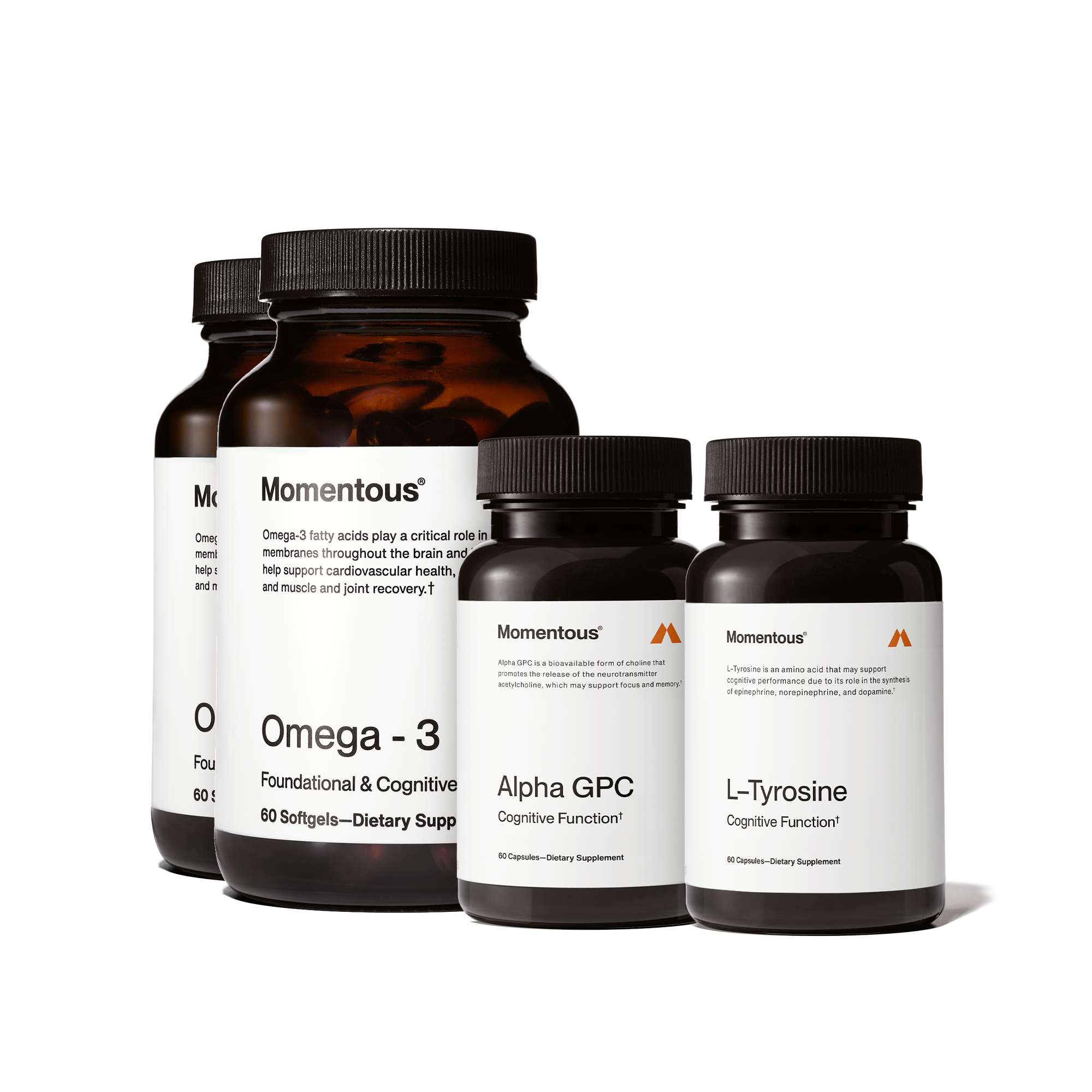 l carnitine huberman lab Focus & Cognition Stack