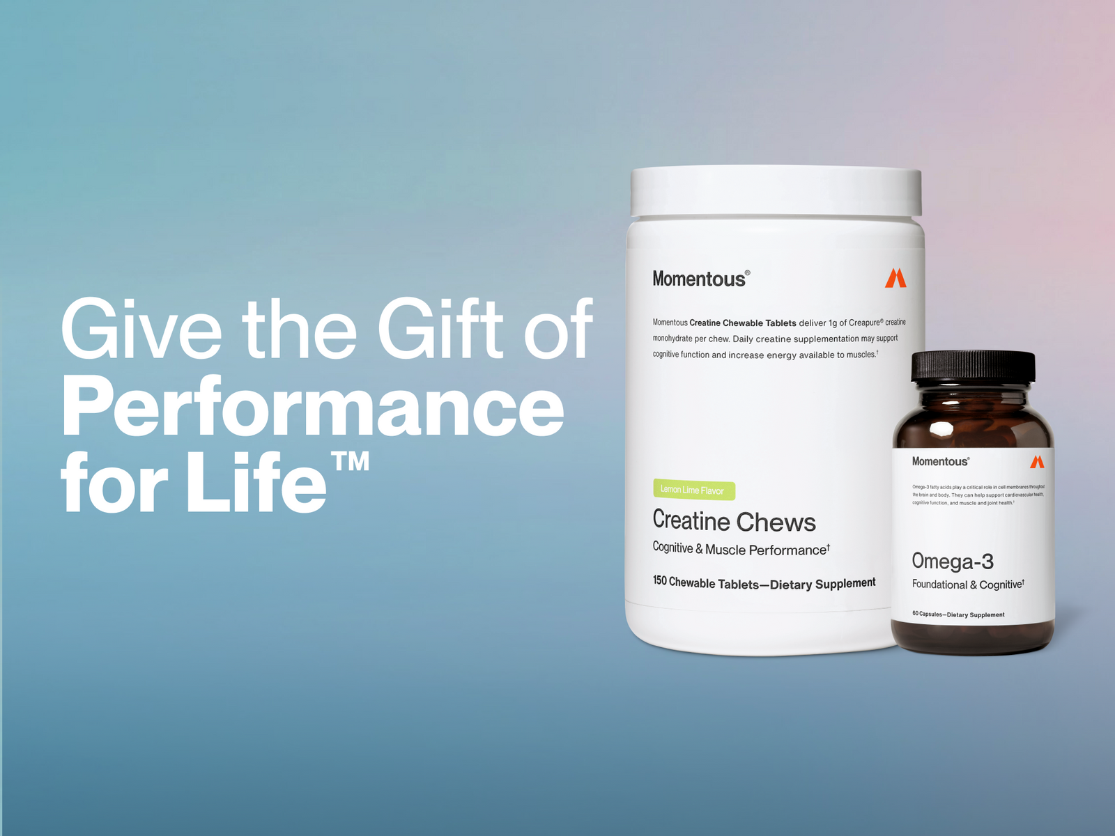x 2025 Gift Guide