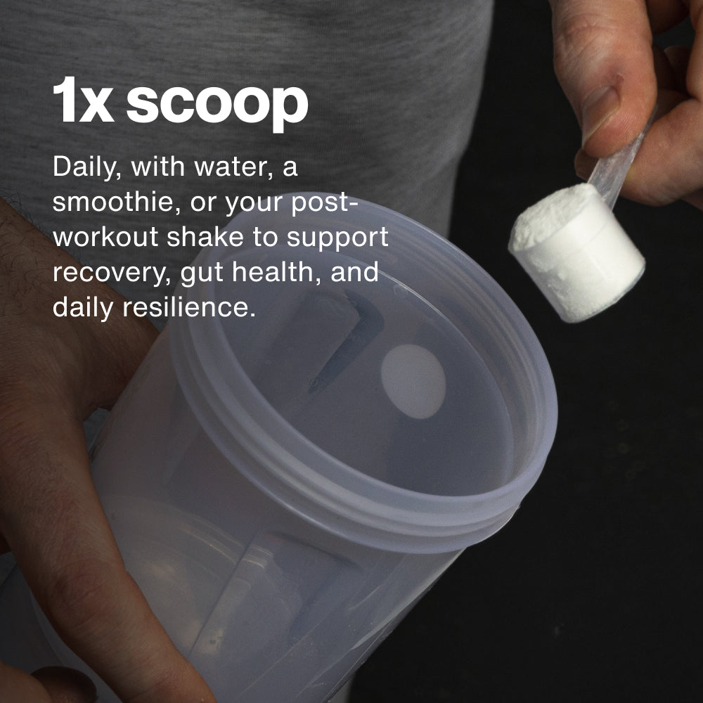 L-Glutamine Powder - 5g per Serving - Momentous L-Glutamine Powder - 5g per Serving - Momentous
