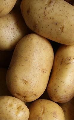 Resistant Starch