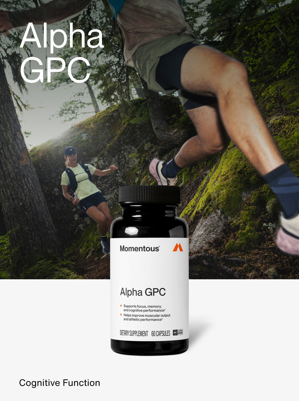 Alpha GPC