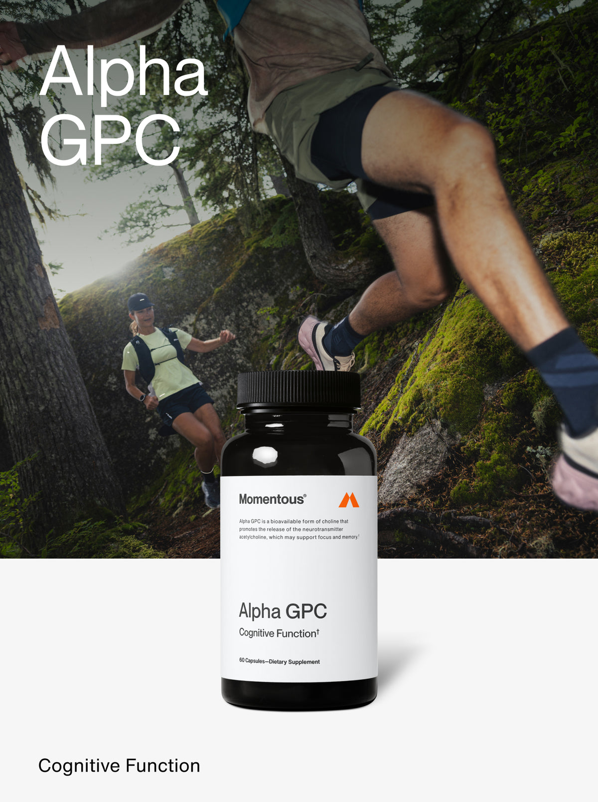 Alpha GPC