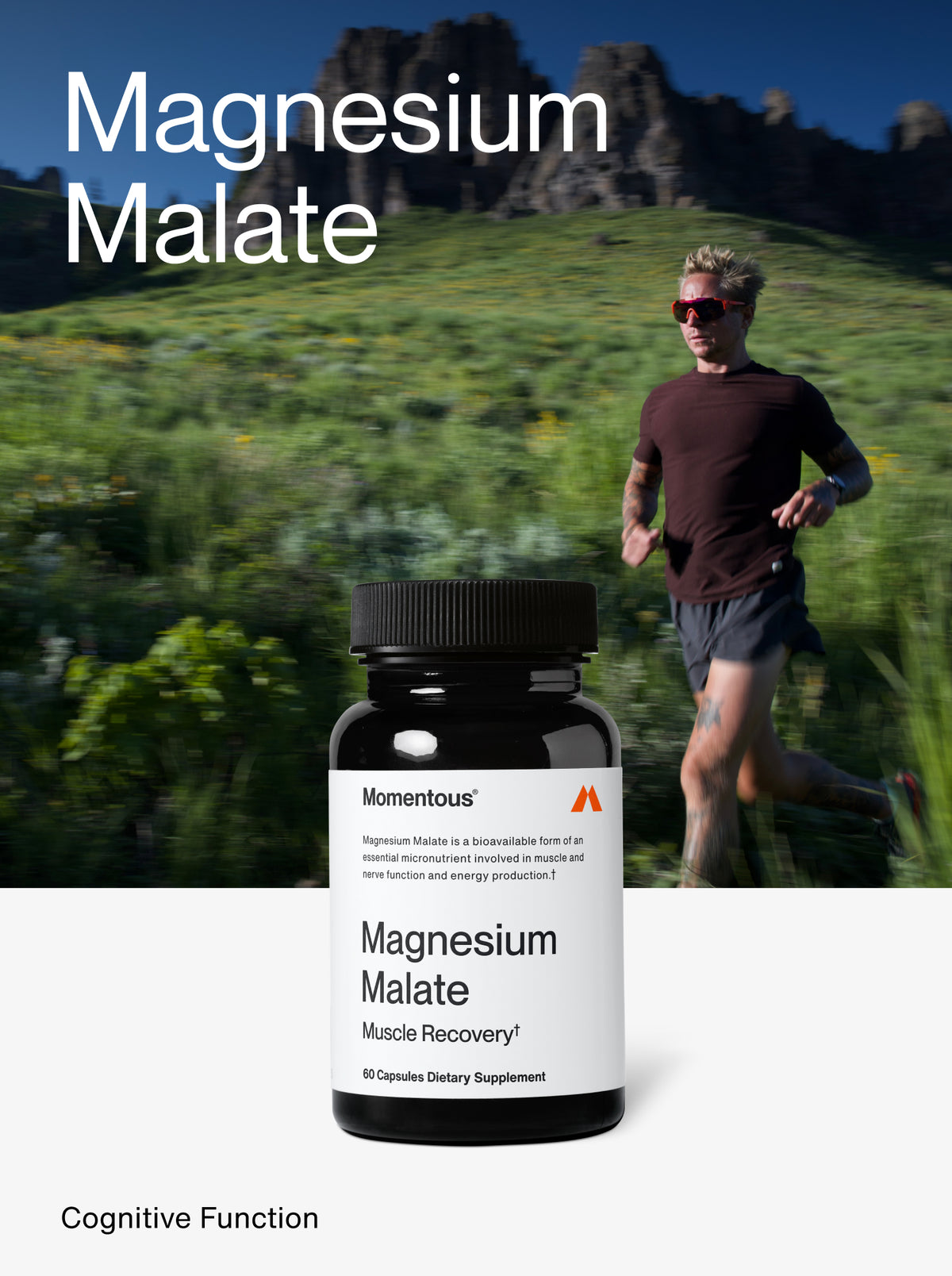 Magnesium Malate