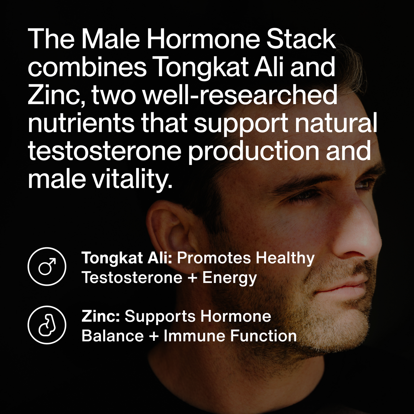Key benefits of Male Hormone Support supplement, highlighting support for healthy testosterone levels, energy, strength, vitality, and overall hormonal balance.