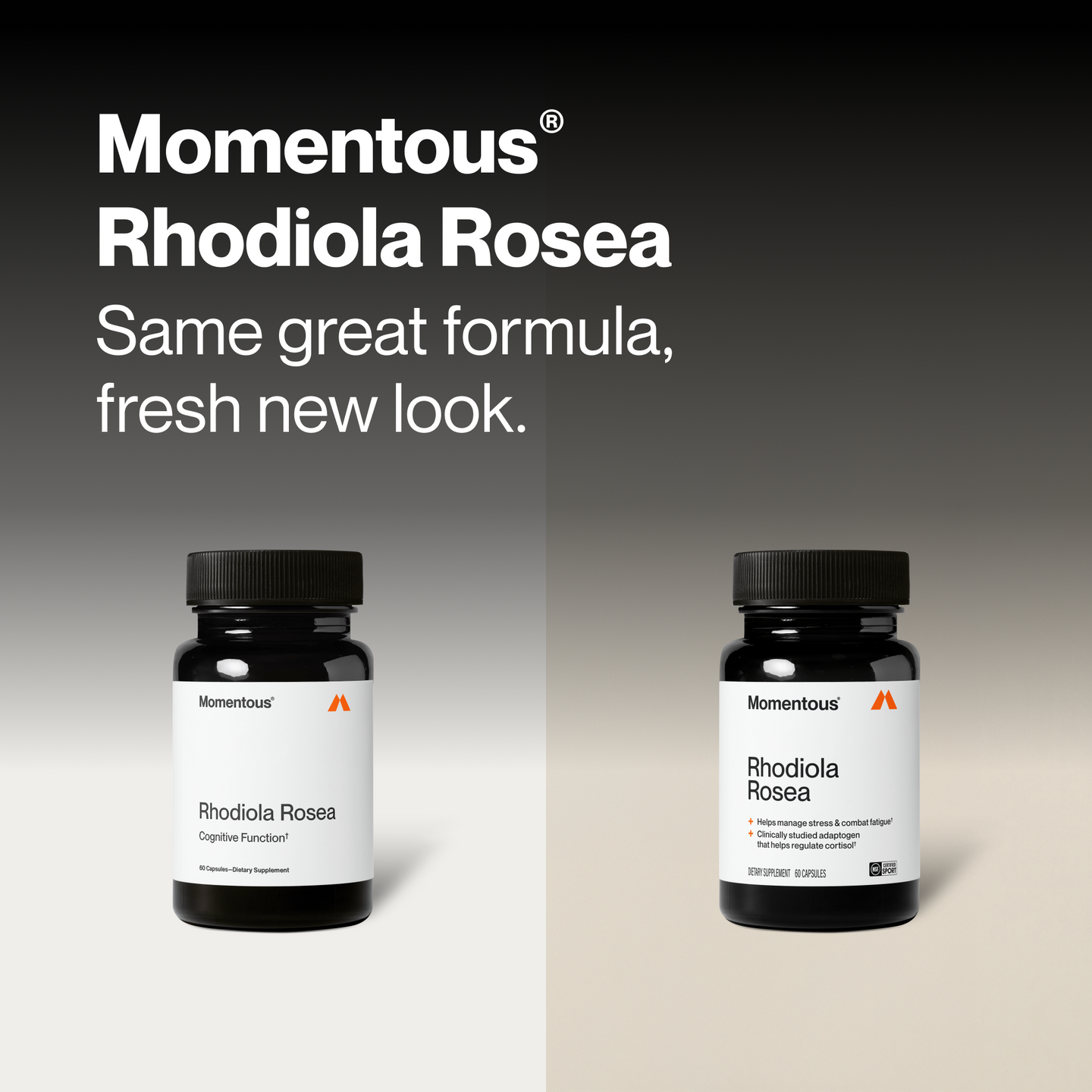 Rhodiola Rosea