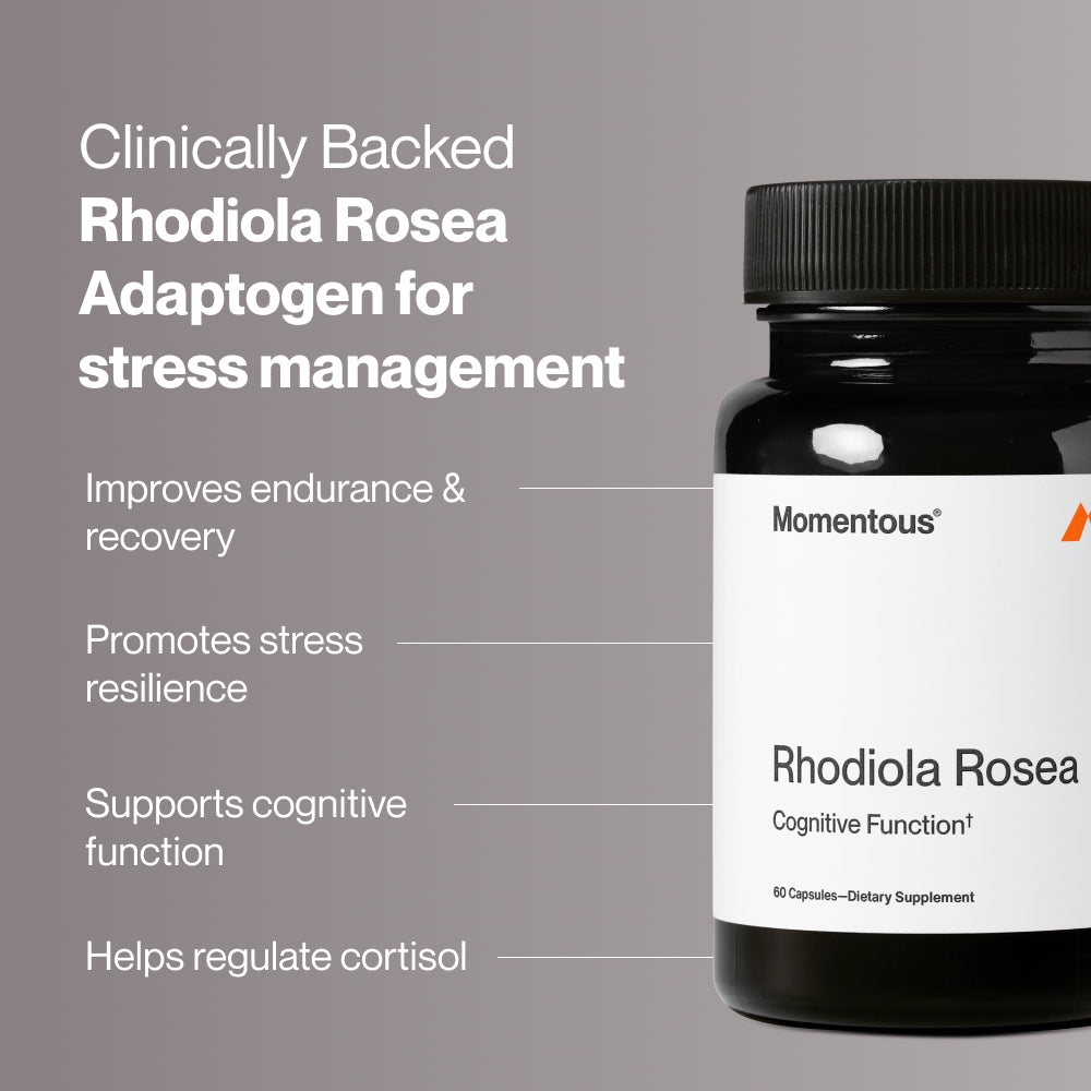 Alt text: A black bottle of Momentous Rhodiola Rosea supplement appears on the right against a light background, with benefit callouts on the left. Text reads: “Clinically Backed Rhodiola Rosea Adaptogen for stress management” “Improves endurance & recovery” “Promotes stress resilience” “Supports cognitive function” “Helps regulate cortisol.” Bottle label reads: “Momentous®” “Rhodiola Rosea” “Cognitive Function†” “60 Capsules—Dietary Supplement.”