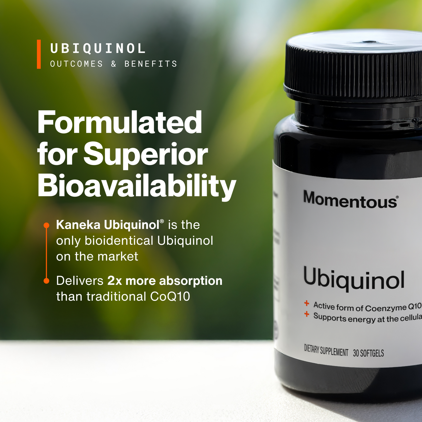 Two black Momentous Ubiquinol bottles on a light gray background, old label (left) next to new label (right). Text: Momentous Ubiquinol, Same great formula, fresh new look. Left label: Foundational Health, CoQ10, 30 Softgels. Right label: Active form of Coenzyme Q10 (CoQ10), Supports energy at the cellular level, Dietary Supplement, 30 Softgels, NSF Certified Sport badge.
