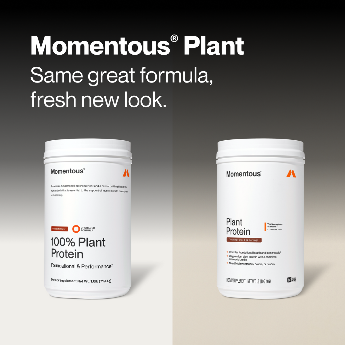 100% Plant Protein Powder