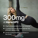 Woman stretching in a gym with text noting 300mg of Alpha GPC per serving — a highly bioavailable form of choline that crosses the blood-brain barrier and drives acetylcholine synthesis.