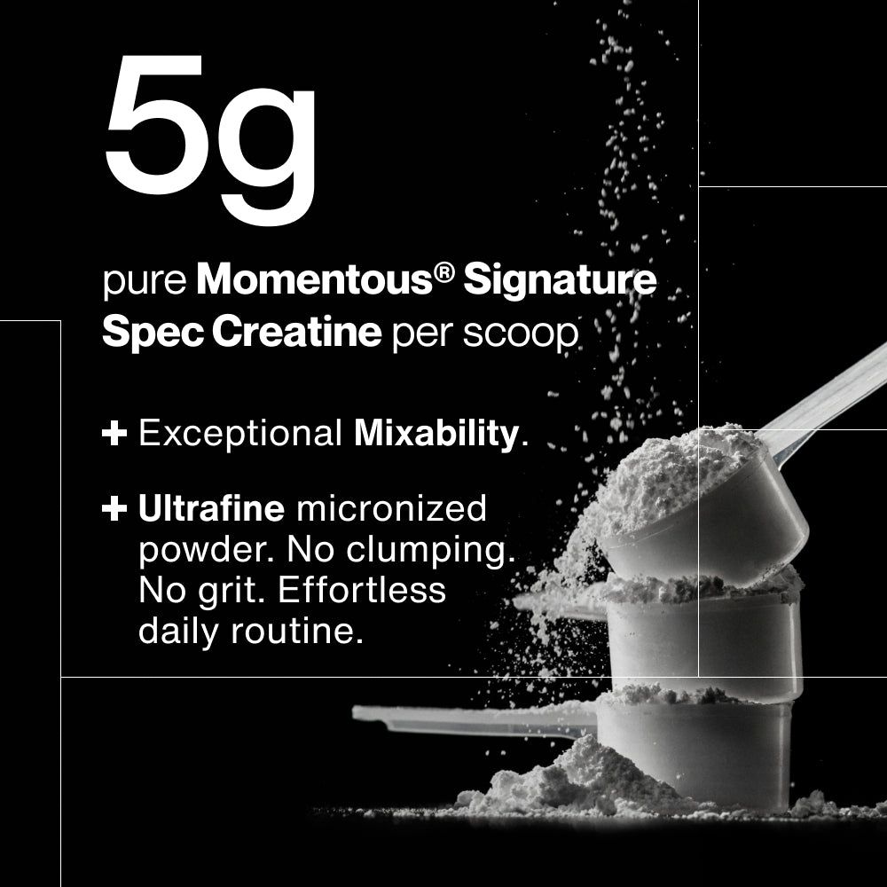 Momentous Creatine Monohydrate 90 servings jar on gray background showing 10x fewer impurities, 2 to 5x tighter heavy metal limits, zero microplastics or PFAS, and 6-stage testing protocol