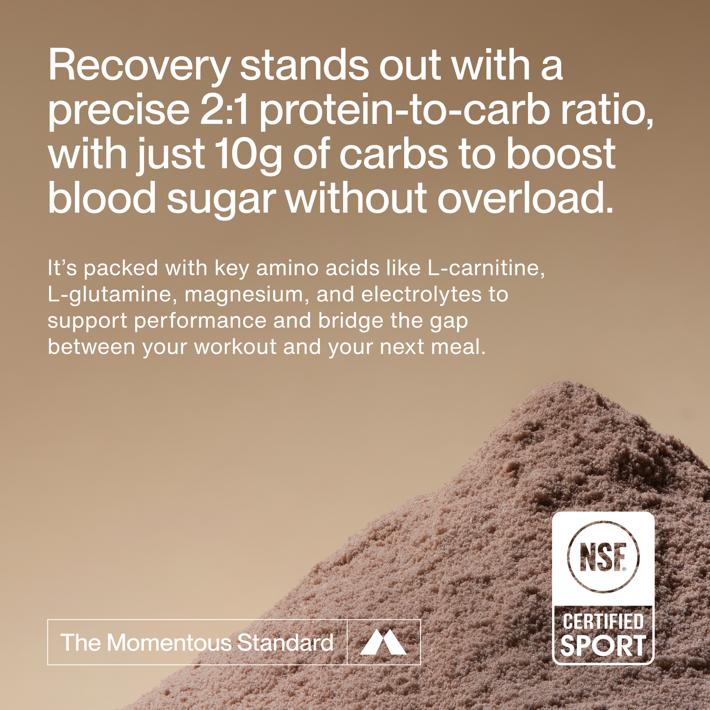 What sets Recovery Whey apart, highlighting high-quality whey protein, packed with l-carnitine l-glutamine, magnesium and electrolytes.