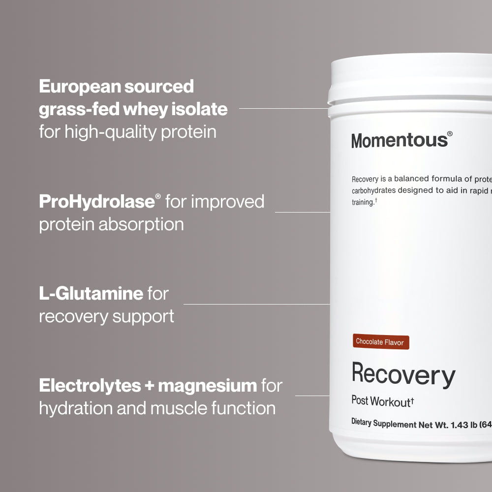 Momentous Recovery chocolate container with callouts. Text reads: “European sourced grass-fed whey isolate for high-quality protein. ProHydrolase® for improved protein absorption. L-Glutamine for recovery support. Electrolytes + magnesium for hydration and muscle function.”