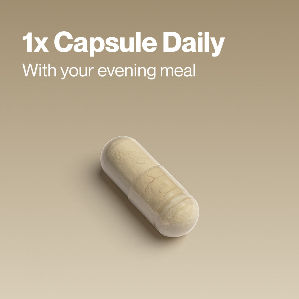 Single capsule on a neutral background. Overlaid text reads: “1x Capsule Daily. With your evening meal.”