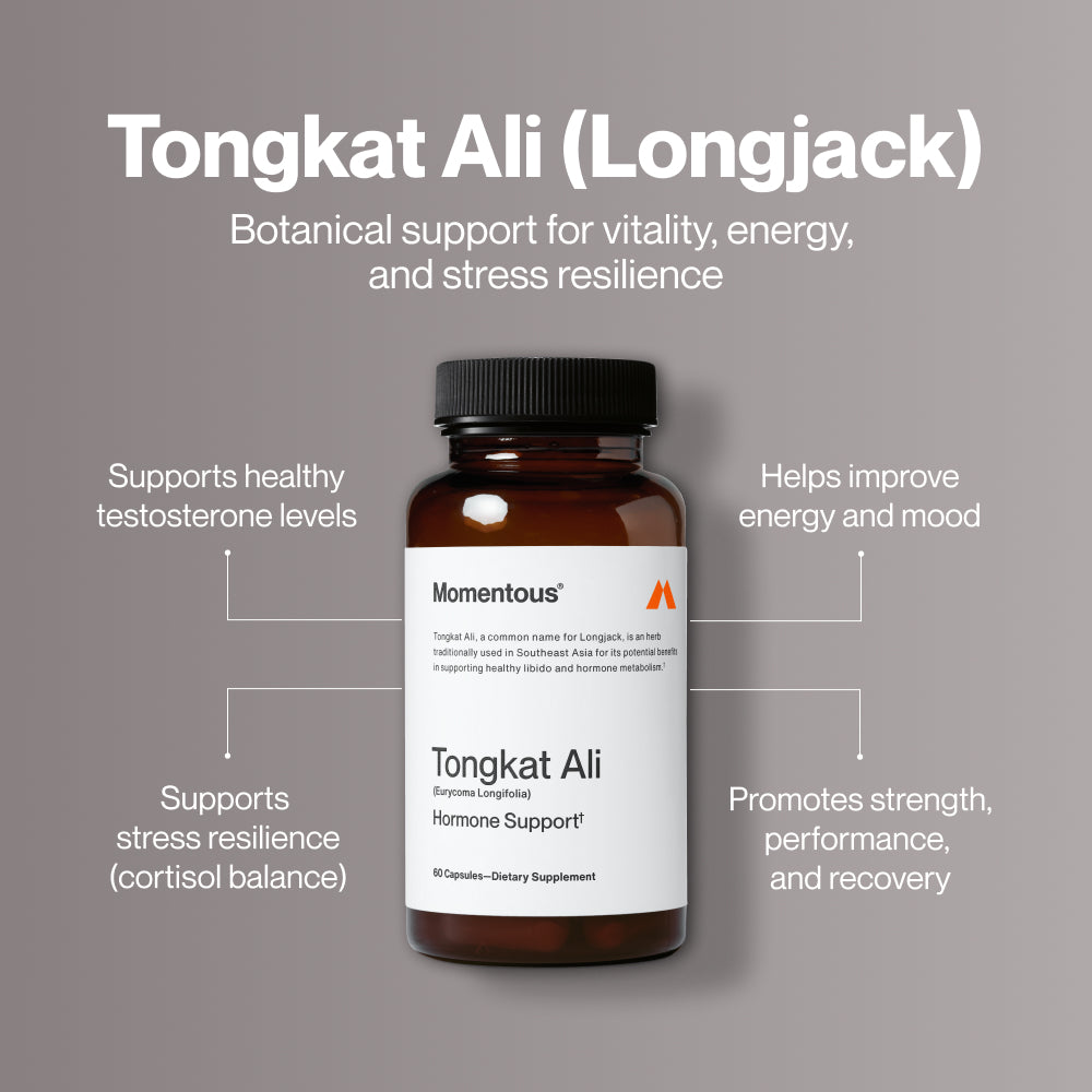 A bottle of Momentous Tongkat Ali appears centered on a light background with benefit callouts around it. Text on the image reads: “Tongkat Ali (Longjack)” “Botanical support for vitality, energy, and stress resilience” “Supports healthy testosterone levels” “Helps improve energy and mood” “Supports stress resilience (cortisol balance)” “Promotes strength, performance, and recovery”.