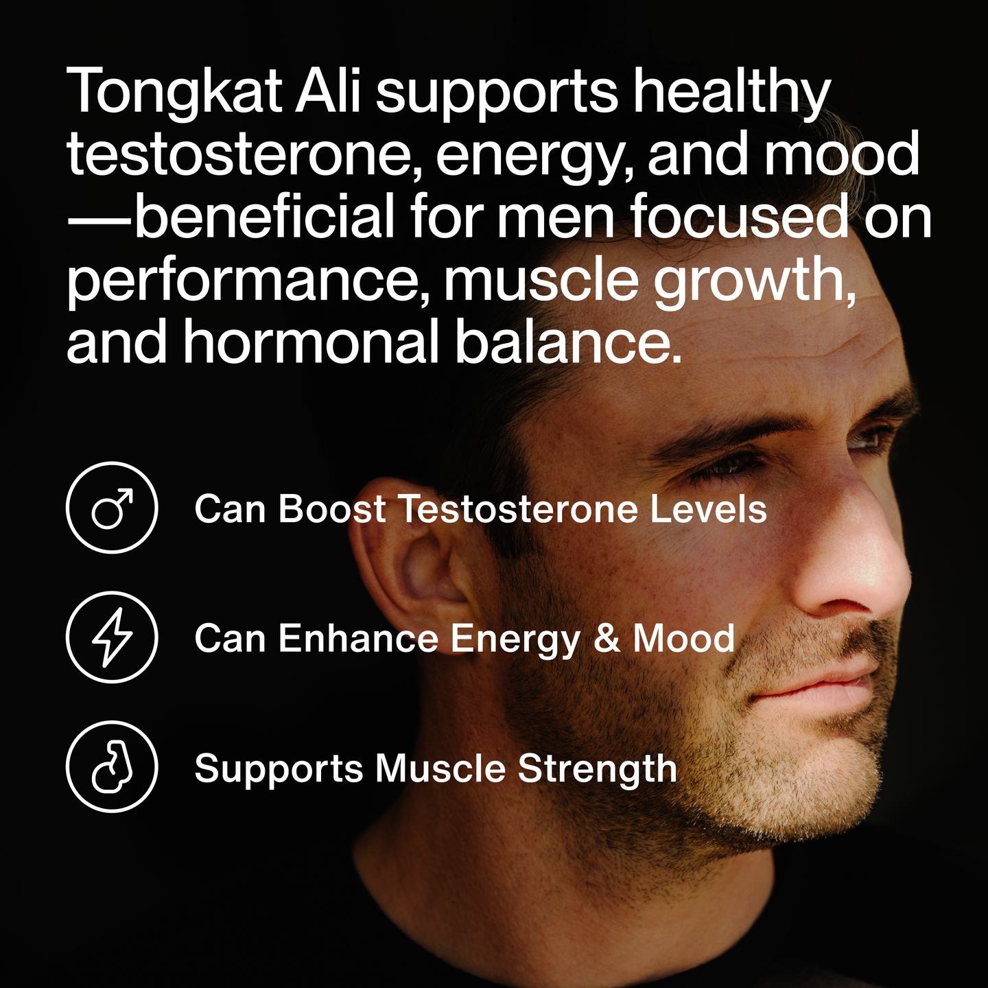 Key benefits of Tongkat Ali supplement, highlighting support for energy, strength, stamina, healthy testosterone levels, and overall vitality.
