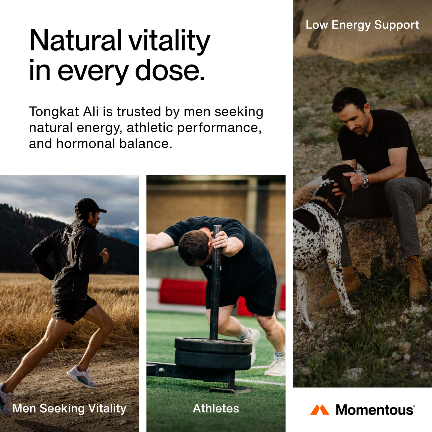 For active adults seeking support for energy, strength, performance, hormonal balance, and overall vitality.