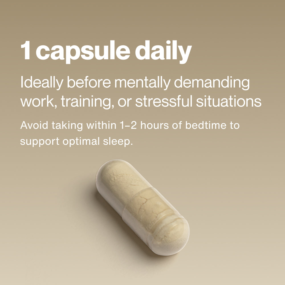 Image of a capsule with text: “1 capsule daily. Ideally before mentally demanding work, training, or stressful situations. Avoid taking within 1–2 hours of bedtime to support optimal sleep.”