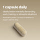 Image of a capsule with text: “1 capsule daily. Ideally before mentally demanding work, training, or stressful situations. Avoid taking within 1–2 hours of bedtime to support optimal sleep.”