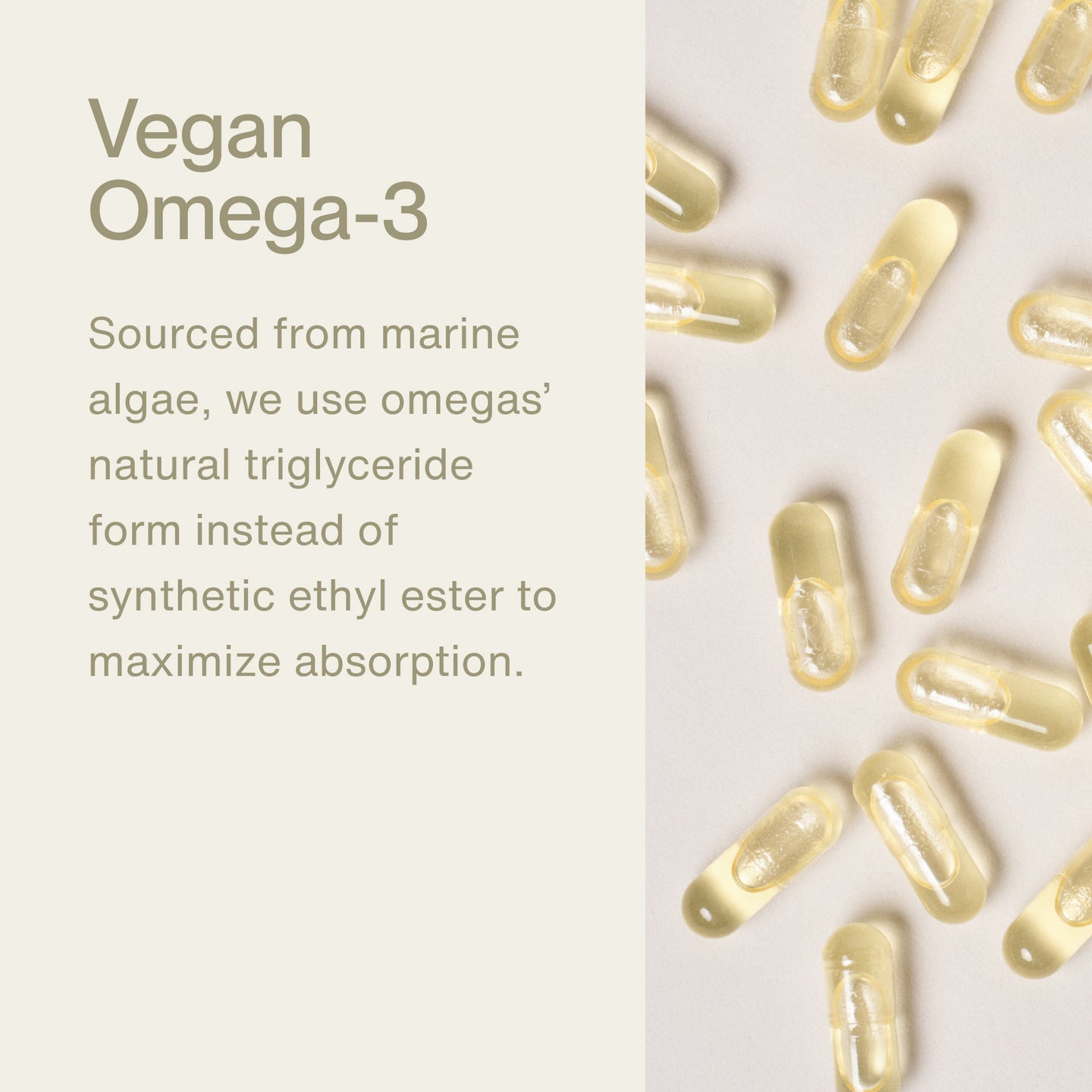 Vegan Omega-3

Sourced from marine algae, we use omegas’ natural triglyceride form instead of synthetic ethyl ester to maximize absorption.